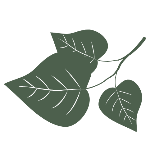 favicon farma lipina (1)