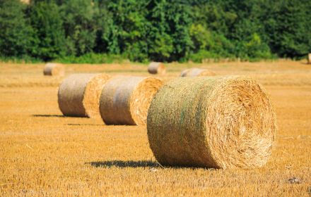 Balíky sena a dřevo z Farmy Lipina – péče o louky a lesy s ohledem na přírodu